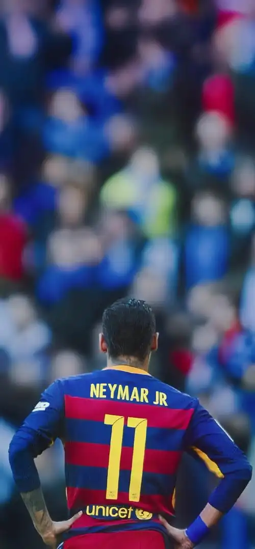 向新的高度 向新的高度