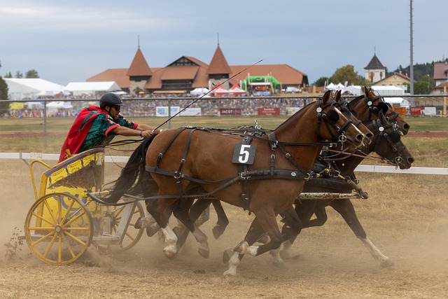 戴帽兄弟会 戴帽兄弟会